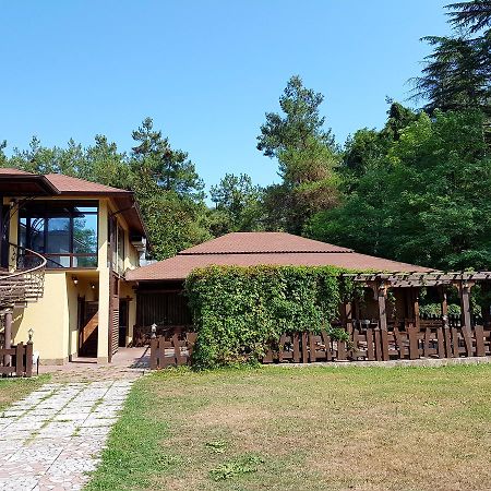Guest House Black Sea Pizunda Ngoại thất bức ảnh